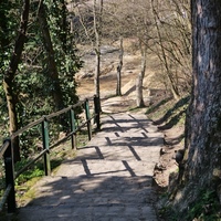 Photo de Luxembourg - Luxembourg-ville